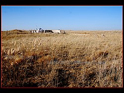 Hanggin, Ordos, Inner Mongolia, China - panoramio - 18600025200